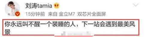 清尘分手正主发布官方消息坐实，好友都来安慰，刘涛回复有深意！