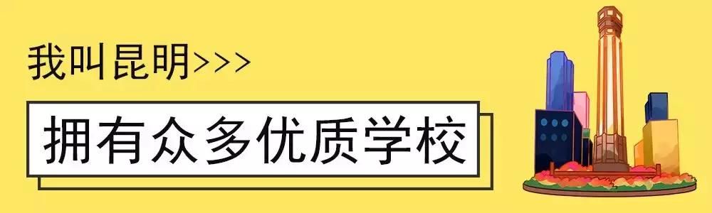 大局已定！2019中国城市发展潜力排名新鲜出炉！昆明位列第28名！