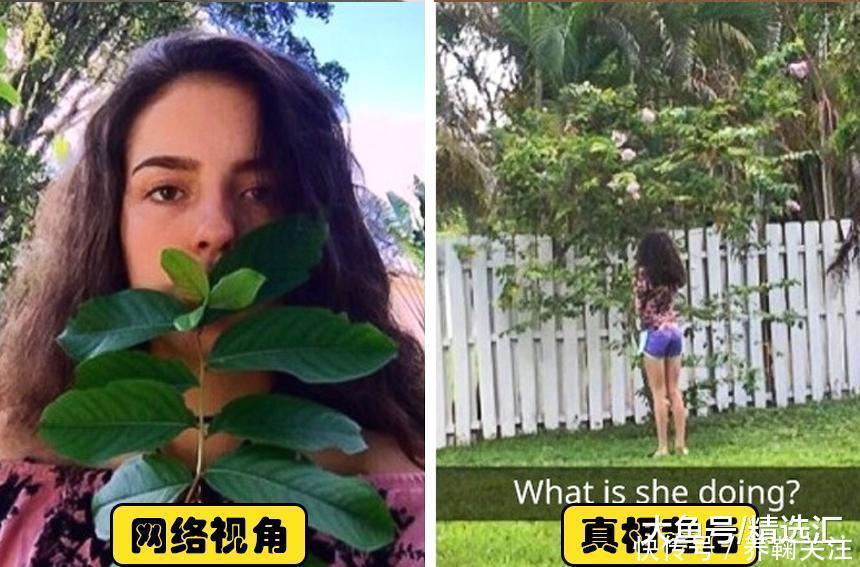 14张网上流传过的完美照片背后的真相