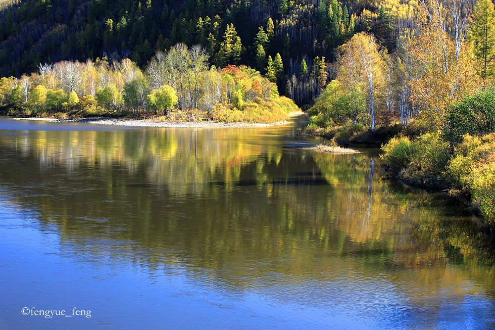 大兴安岭特大火灾澳洲火灾