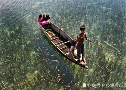 地球上最危险的海,透明度达72米,为什么无人敢踏足?