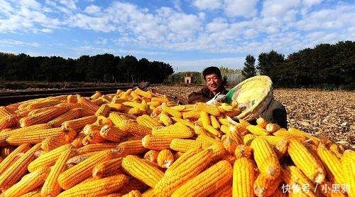 一斤粮食抵不上一瓶矿泉水，农民不解，为何国家不提高粮食价格？