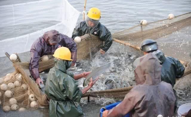 “星槎万里”——均安与澳门回归祖国20周年同步上线