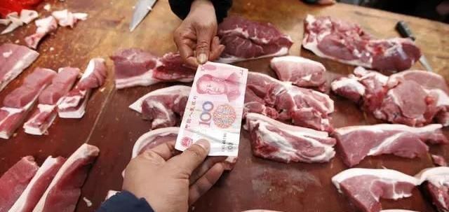  未来|现在开始养猪怎么样？未来有没有机会？