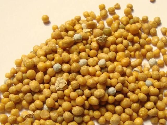 『买肥』养花买肥太花钱?从春到冬只用这三种肥,植物也能花繁叶茂