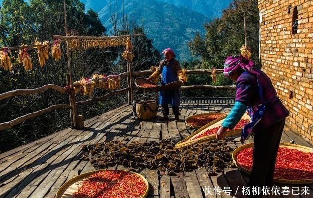 婺源最美秋景,被誉为人间美玉,或将成为下一个“富春山居图”?