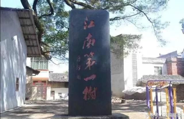 “江南第一村”蒋经国亲笔提名的村庄