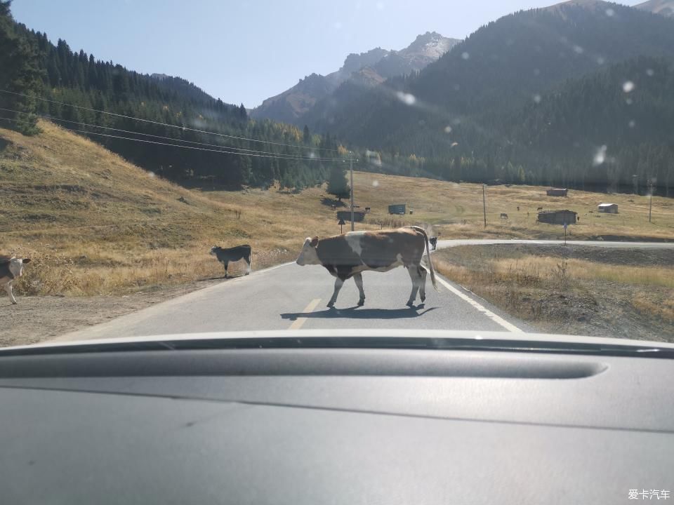 跟着刘老湿打卡新疆