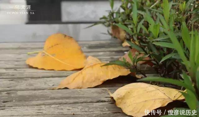 真正的历史古城,一条路上的古籍都要赶上故宫了