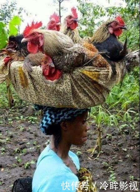 一组顶级照片，大开眼界！给大家欣赏欣赏