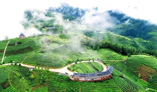 广西十多个县获“自治区级生态县”称号，点进来看有没有你家乡!