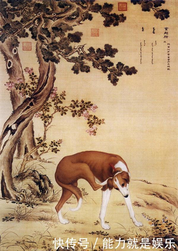 狗年说狗: 乾隆皇帝的十只猎犬, 全都高昂凶猛