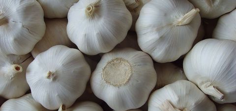  炒作|常见的佐料，今年“蒜你狠”收购价降低，农民：都是炒作惹