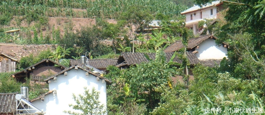 这东西有农民将它便宜卖掉，却不知升值潜力高，连城里人都看上它