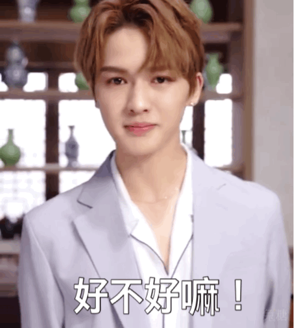 NPC奔跑吧撕鹿晗，遭粉丝人身攻击？毒唯疯狂起来真要命！