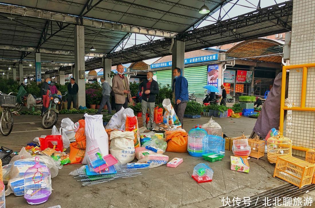  『迎来』开墟了，广州番禺最大民间集市迎来鼠年第一墟，愿此情此景不再见