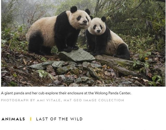 秦岭野生动植物数量不断增长 外媒:国家公园建设助力珍稀生物保