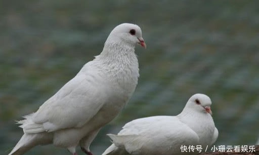  『违法』出国旅游不能踩的“雷区”，不知道的人，小心笑话！