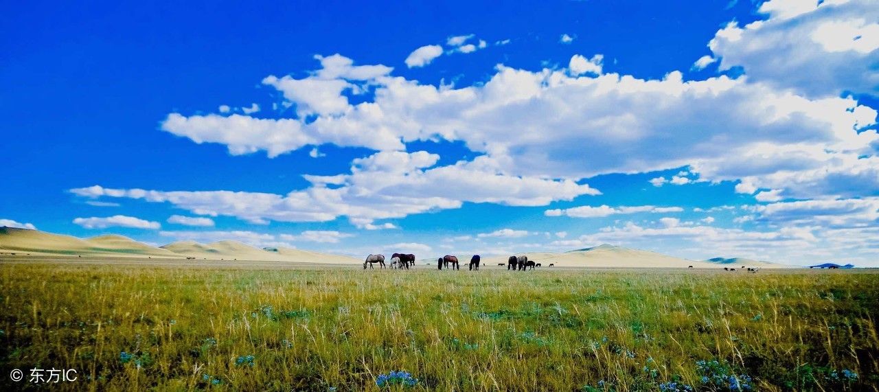 风吹草地现牛羊,地大物博的中国六大草原