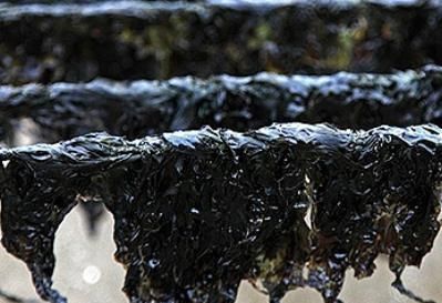 吃了20多年紫菜，才知道紫菜也分等级，懂行人才挑“头水紫菜”