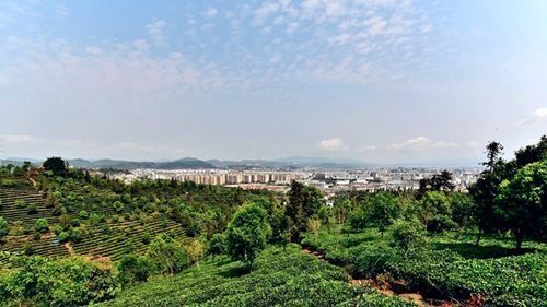 刚刚公布!云南这4个地方被国家看上,成为康养城市!有你在的地方