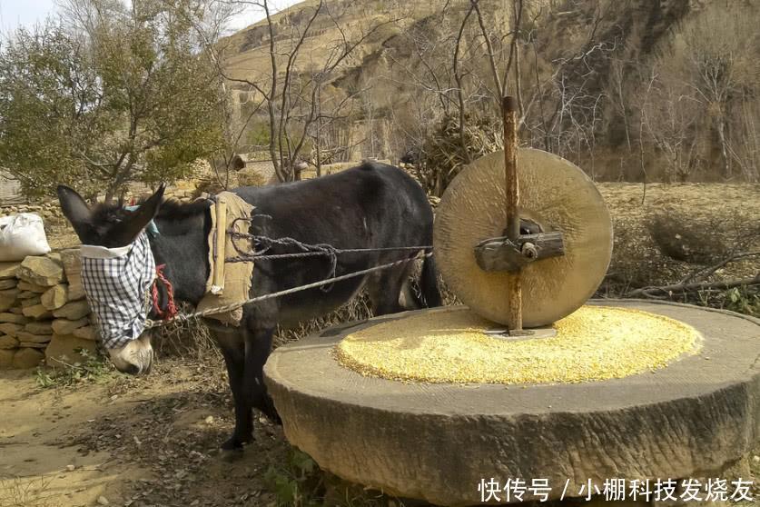 正在消失的农村老物件！第3种收藏价值很高，家家户户都有