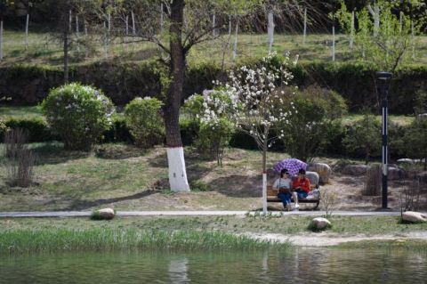  绿意■视窗 | 青海西宁：市民出门享绿意