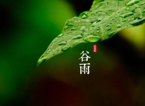  『无雨』谷雨节气到，俗语“谷雨无雨，后来苦雨”啥意思？谷雨下雨才好吗