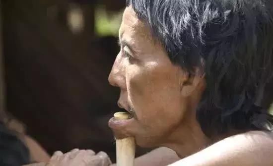 「部落」这个部落人人赤身，以下巴插木棍为美，让人惊奇