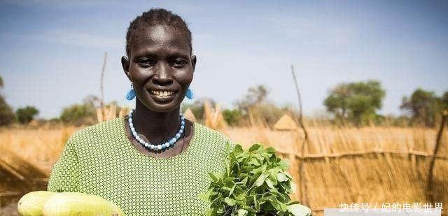 中国派遣他去非洲种植上万亩剑麻，让黑人家家户户奔小康