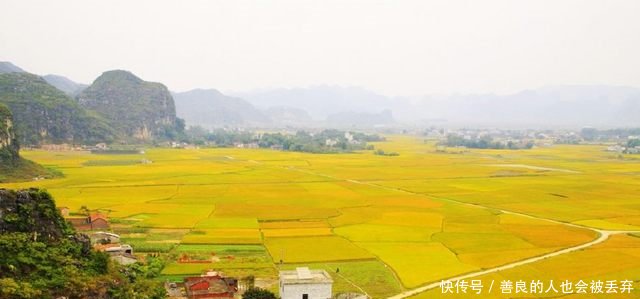 农民后悔的时候来了！半年之后，这两种人就要开始“吃大亏”了！