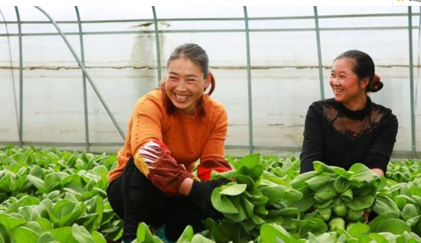  未来|未来农村很有“钱途”的几种行业，或许有一个能成为你的出