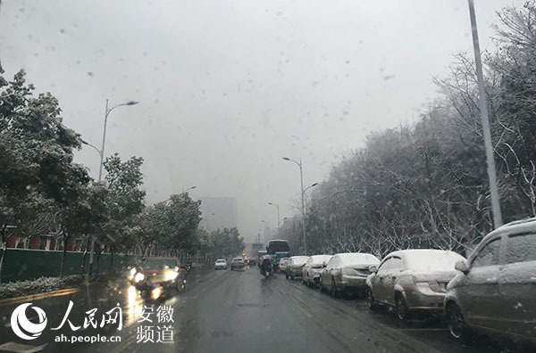 安徽发布暴雪蓝色预警 多地一夜“为雪白头”