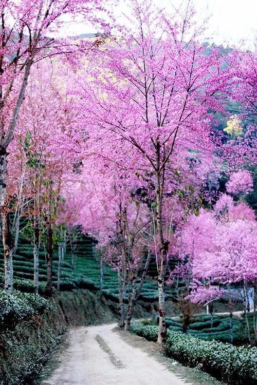 旅行达人必去的10个目的地,你去过几个?