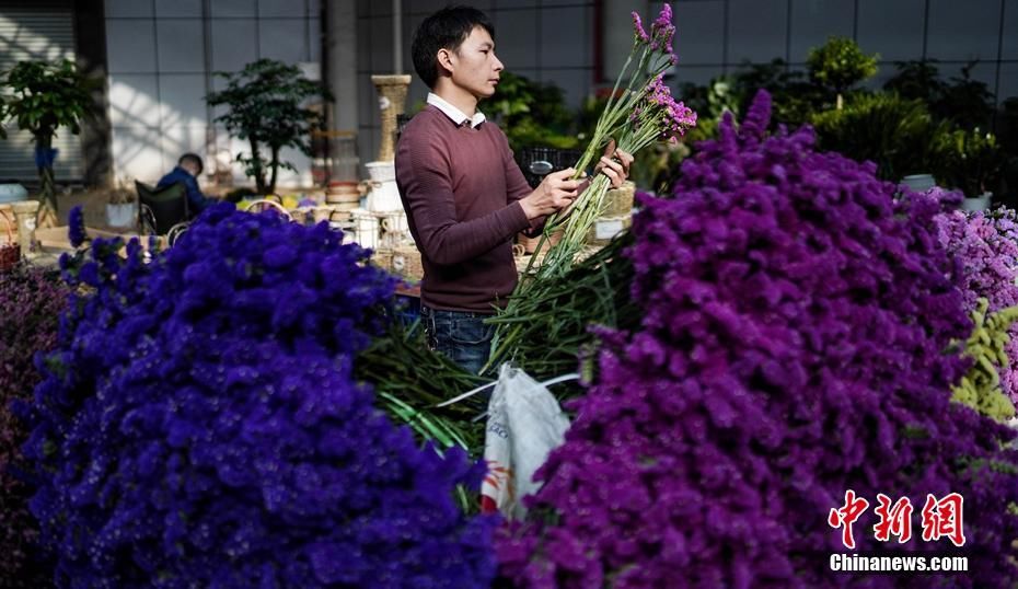  [斗南]昆明斗南花卉市场交易回暖