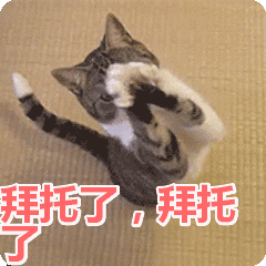  『上线』微信新功能上线，有人赞爆，有人丑哭……你怎么看？
