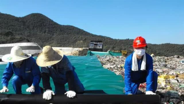 逼疯上海人的“垃圾分类”背后，藏着14亿中国人不知道的残忍真相