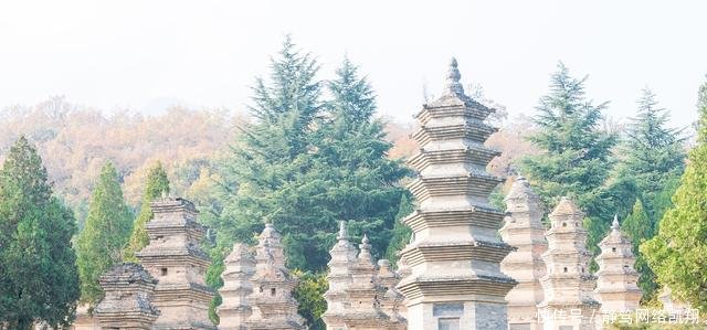 河南大动静! 5条高铁同时再建, 即将实现市市通高铁, 郑州成最大