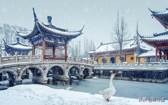 作为摄影爱好者，你觉得，什么是摄影的“艺德”？