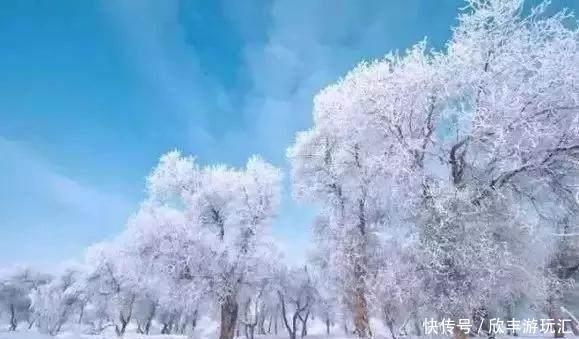 额济纳旗下雪了！雪后的白色胡杨林，惊艳了所有人！