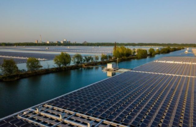  #解决#中国在发电站放了几千只羊，一个世界难题，就这样被羊给