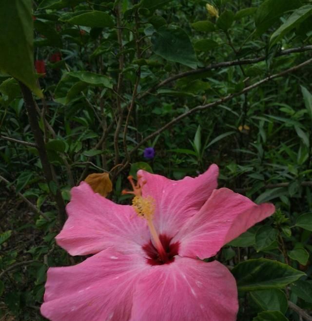  「鱼悦」雾里看花钓鱼忙，东风鱼儿把口开，鱼悦的一天