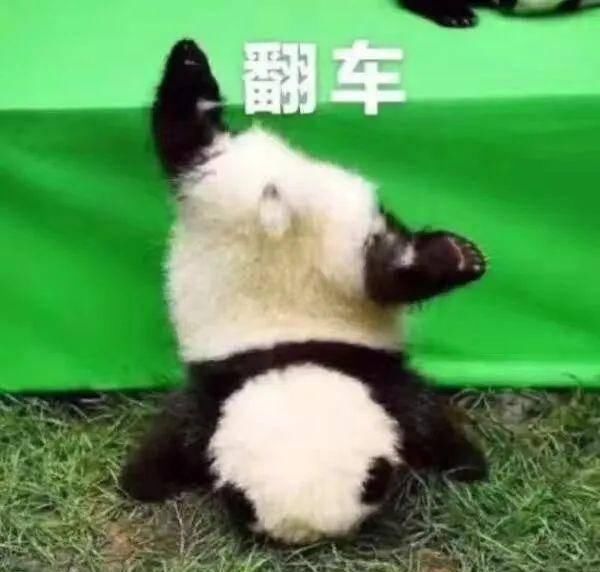  [脸色]你是什么脸色，就配什么发色！
