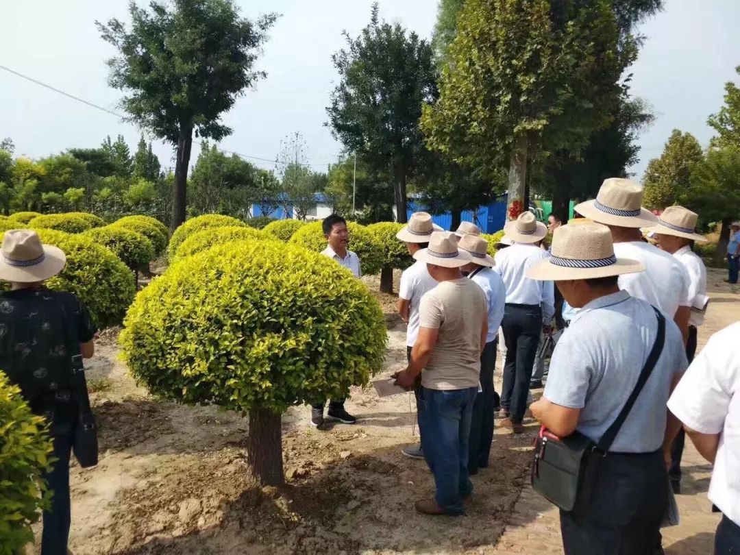 庭院深深，中式庭院 · 怡然自得