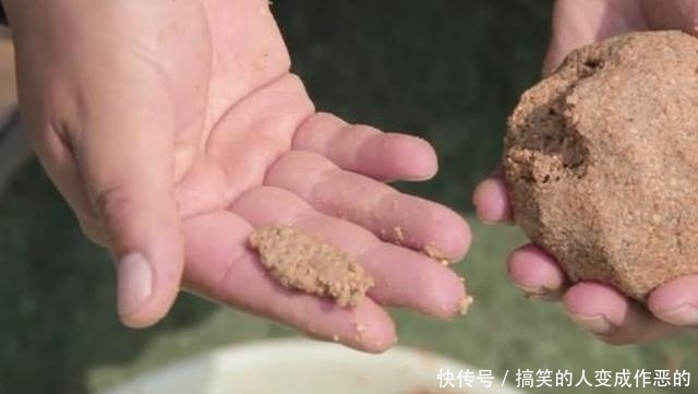 「庆幸」天气热,鱼口就不好了?很庆幸我有这破解招式,不信你就试一试