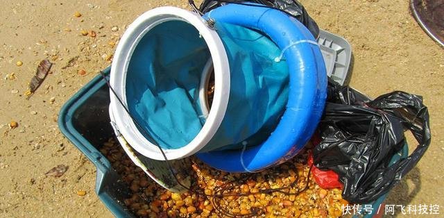  『钓友』钓友你的这些行为不是素质低，简直是不要脸