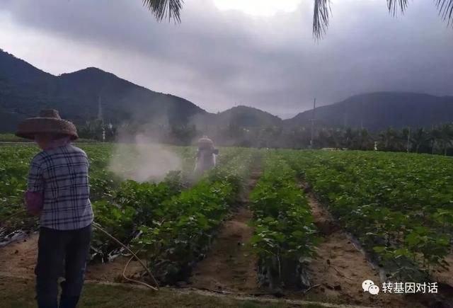 崔永元越“伟大”，他的粉丝越可怜