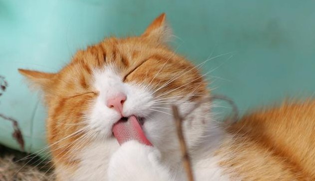  「谨记」人生总不顺怎么办？谨记这4条定律，赶走霉运时运转