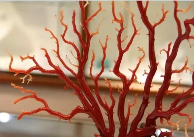 宋美龄的宝盒藏了天价宝贝！她最爱的却不是4000万的翡翠镯子