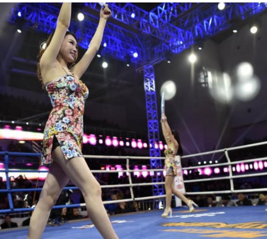 揭秘搏击场举牌女孩:月薪过万却常被揩油，工作艰辛